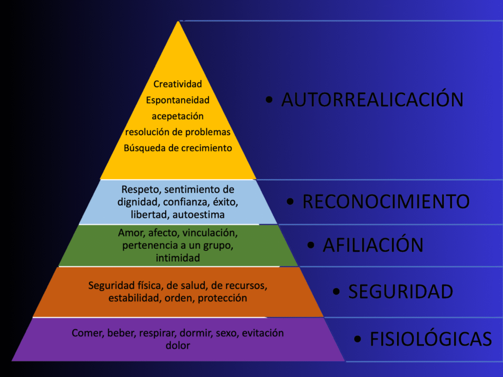 diseño sin título (3)