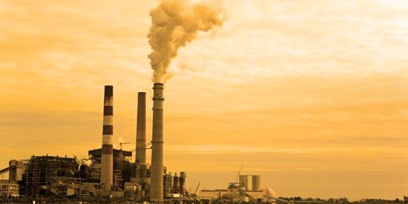 Al borde de la extinción image